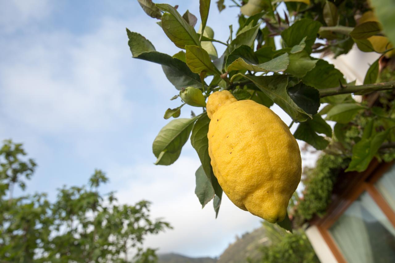 Hotel Residence Mendolita Lipari  Zewnętrze zdjęcie